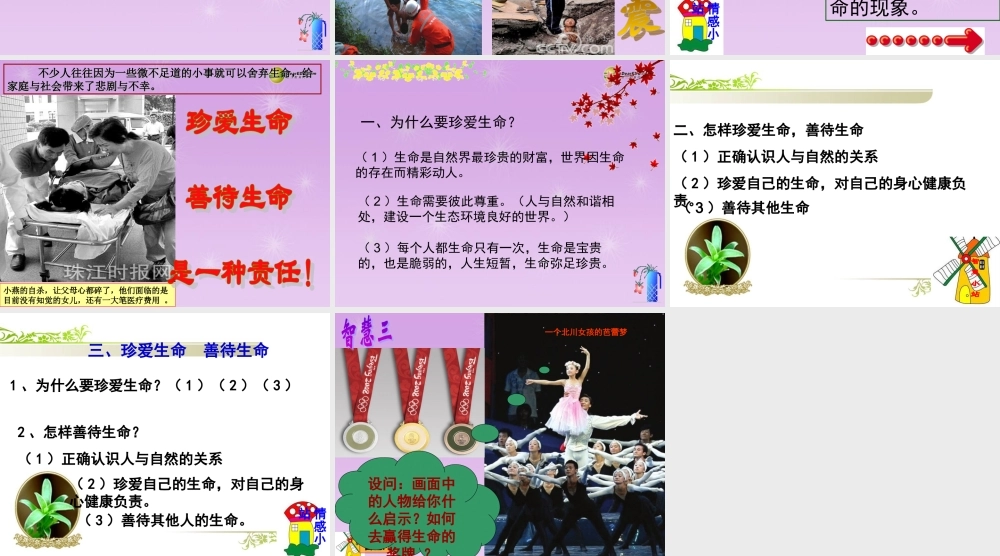 七年级政治上册 第三课珍爱生命课件 新人教版 课件