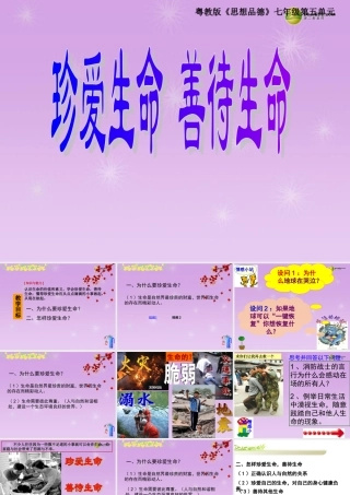 七年级政治上册 第三课珍爱生命课件 新人教版 课件