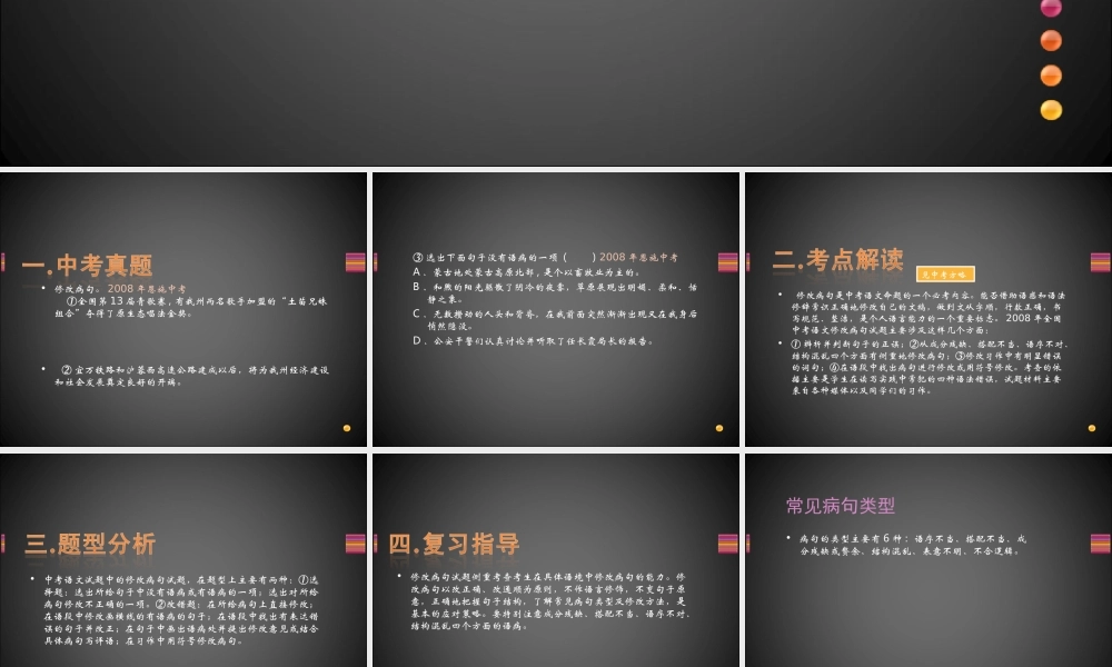 中考语文复习专题 病句修改 辨析 试题