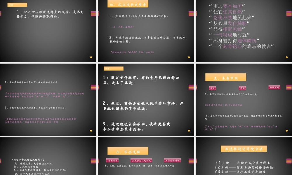 中考语文复习专题 病句修改 辨析 试题