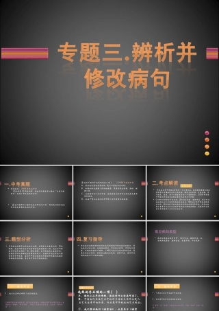 中考语文复习专题 病句修改 辨析 试题