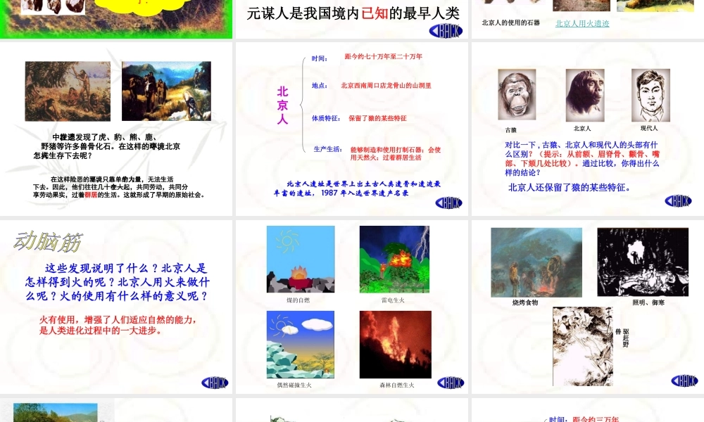 七年级历史 祖国境内的远古居民1课件 新人教版 课件