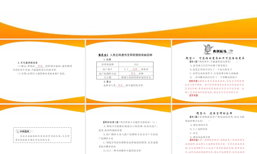 (随堂优化训练)八年级生物下册 第七单元 第二章 第五节 生物的变异 配套课件 人教新课标版 课件