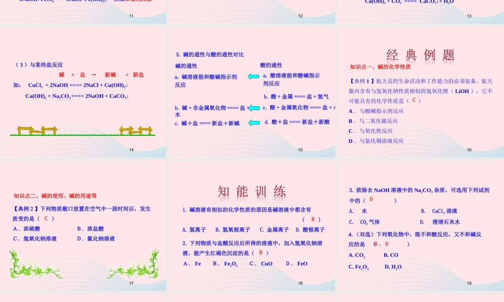 九年级化学下册 第七单元 第二节 碱及其性质课件 鲁教版 课件