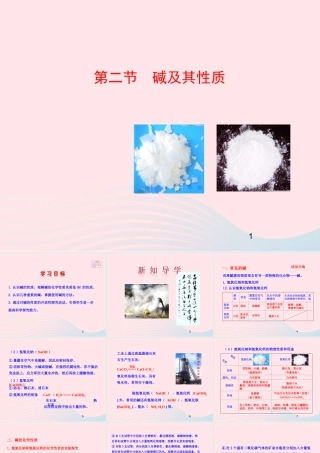 九年级化学下册 第七单元 第二节 碱及其性质课件 鲁教版 课件