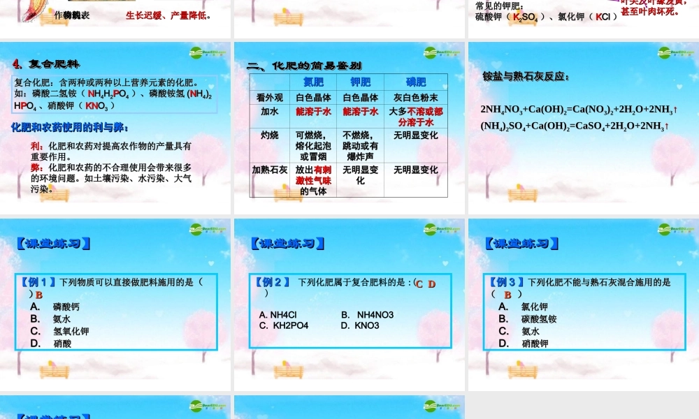 九年级化学下册 (化学肥料)课件 人教新课标版 课件