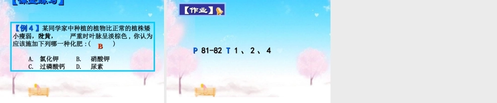九年级化学下册 (化学肥料)课件 人教新课标版 课件