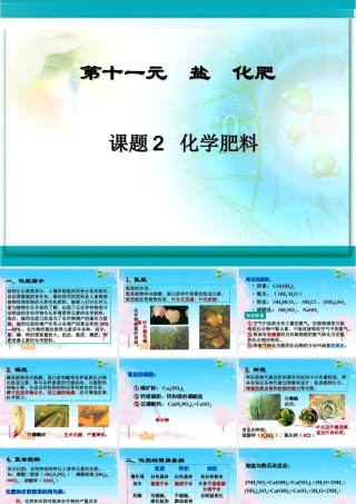 九年级化学下册 (化学肥料)课件 人教新课标版 课件