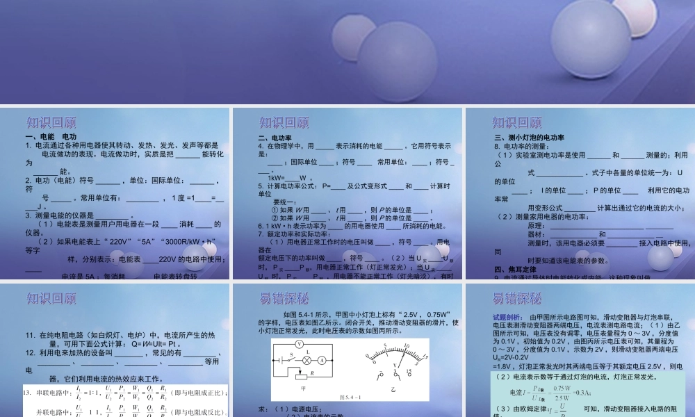 中考物理总复习 第十九章 电功率课件