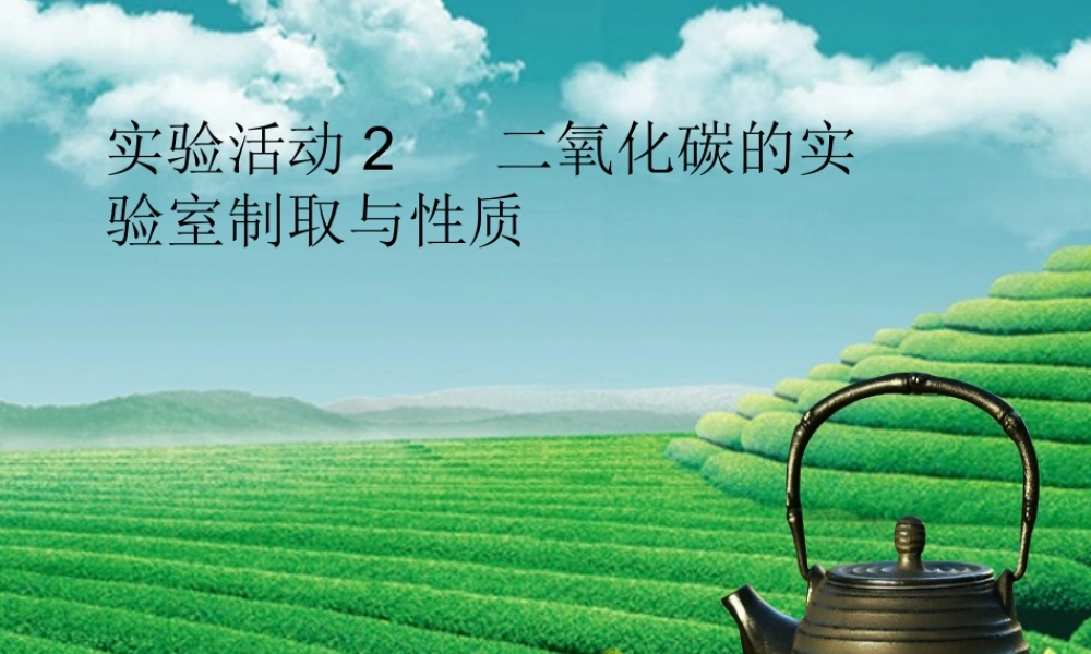九年级化学上册 第六单元 碳和碳的氧化物 实验活动2 二氧化碳的实验室制取与性质课堂导学课件 (新版)新人教版 课件