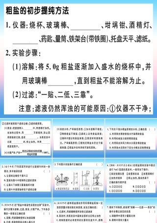 九年级化学下册 第十一单元 盐 化肥 实验活动8 粗盐中难溶性杂质的去除习题课件 新人教版 课件