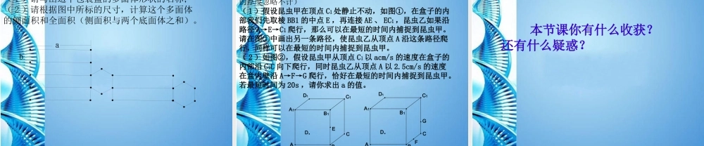 中考数学第一轮复习 第33课 展开与折叠课件 苏科版 课件