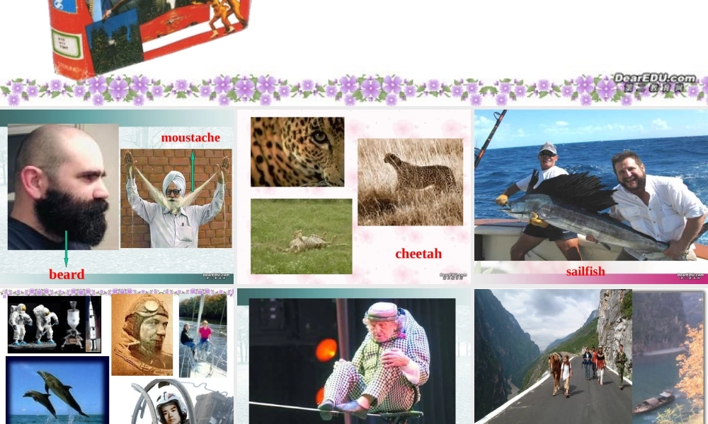 Unit1 Lvocabulary课件示例 人教版 课件