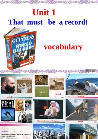 Unit1 Lvocabulary课件示例 人教版 课件