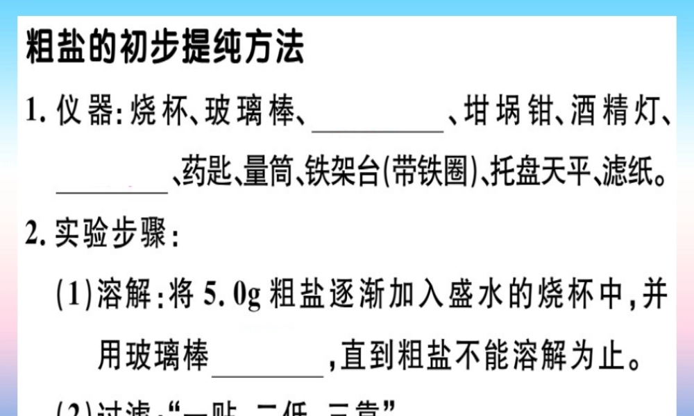 九年级化学下册 第十一单元 盐 化肥 实验活动8 粗盐中难溶性杂质的去除习题课件 (新版)新人教版 课件