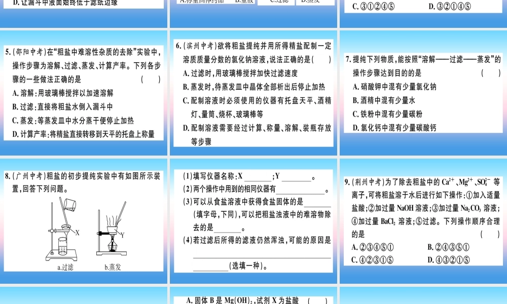 九年级化学下册 第十一单元 盐 化肥 实验活动8 粗盐中难溶性杂质的去除习题课件 (新版)新人教版 课件