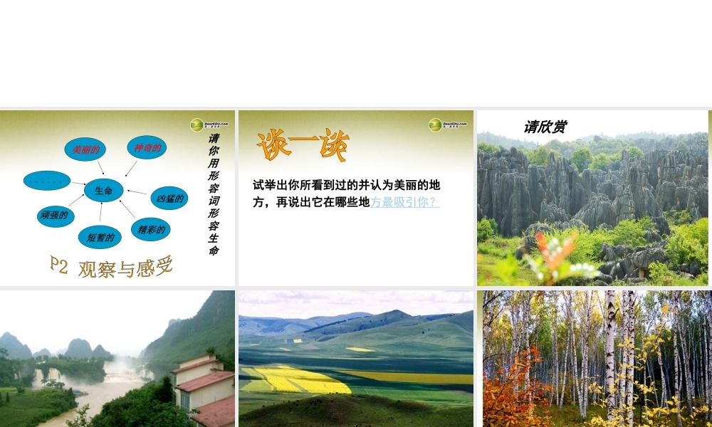 七年级政治下册 第五单元第一课生命宝贵课件 粤教版 课件