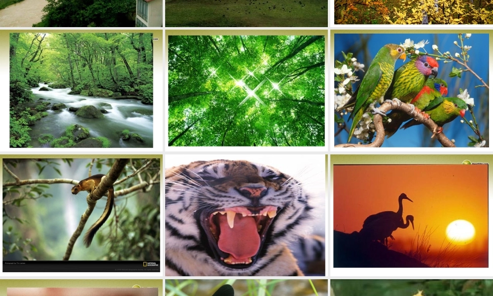 七年级政治下册 第五单元第一课生命宝贵课件 粤教版 课件