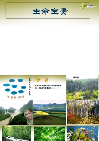 七年级政治下册 第五单元第一课生命宝贵课件 粤教版 课件