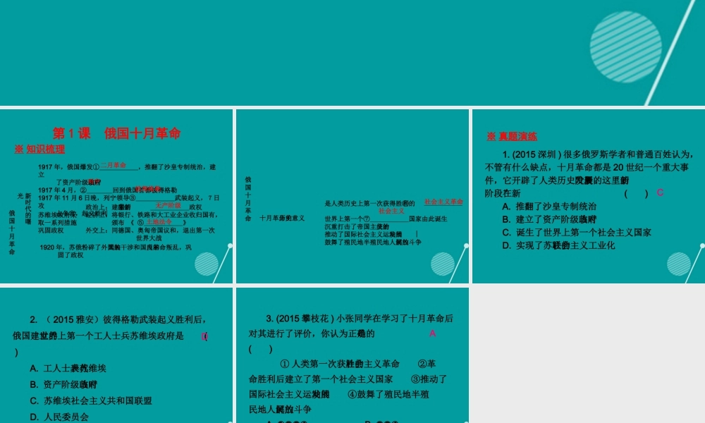 九年级历史下册 第1课 苏联社会主义道路课件 新人教版 课件