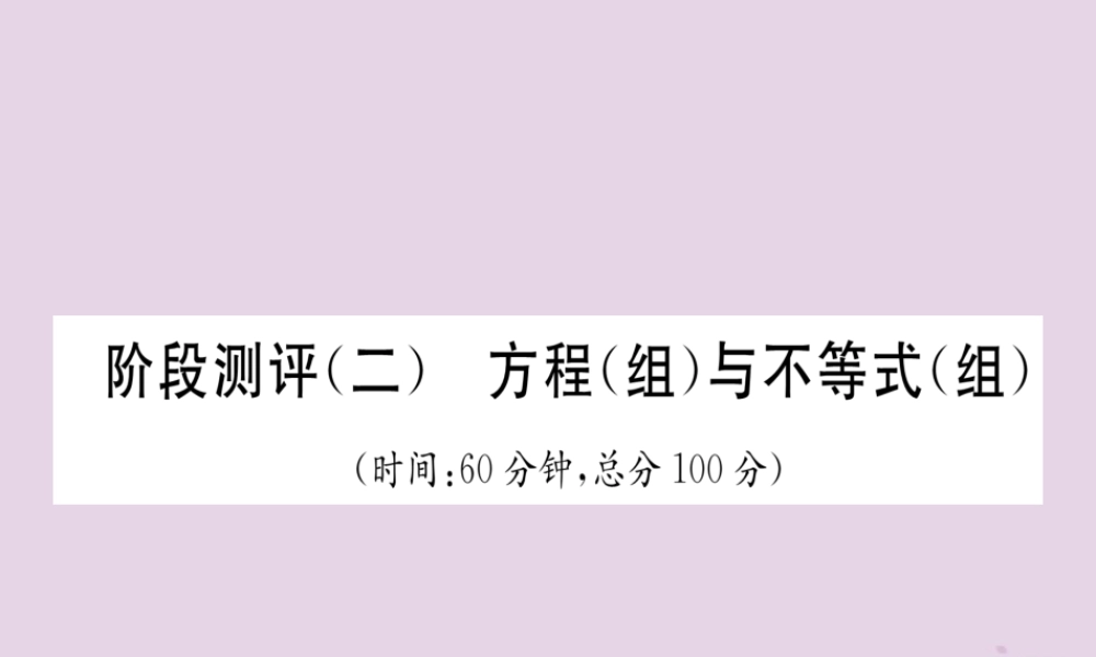 中考数学总复习 阶段测评(2)方程(组)与不等式(组)课件