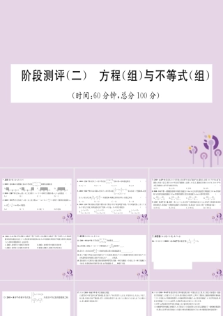 中考数学总复习 阶段测评(2)方程(组)与不等式(组)课件