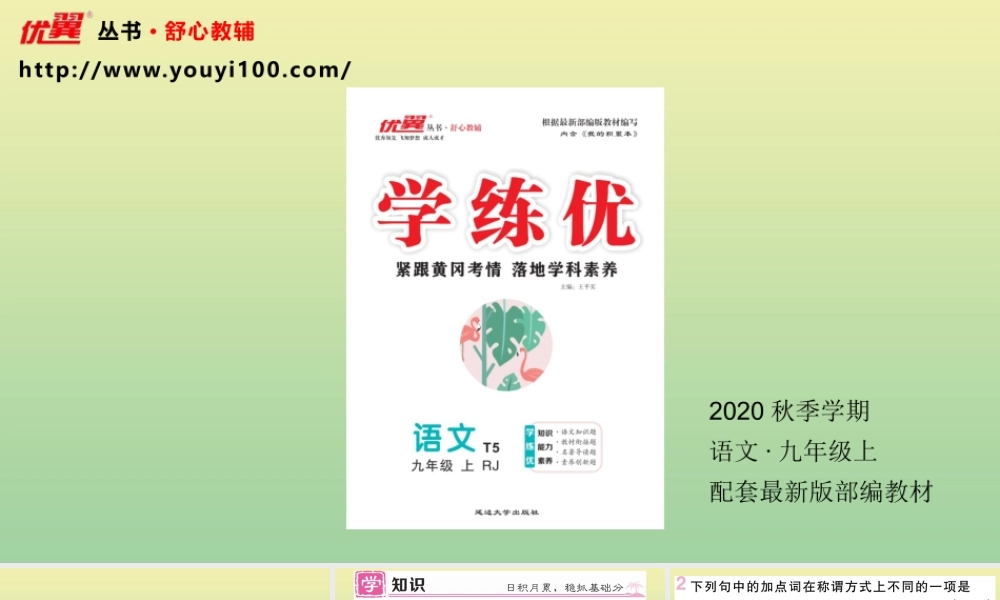 (黄冈专版)九年级语文上册 第六单元 22 范进中举作业课件 新人教版 课件