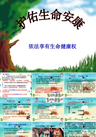 七年级政治下册 护佑生命安康课件 苏教版 课件