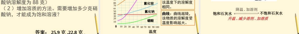 九年级化学(溶液与溶解度)课件 人教新课标版 课件
