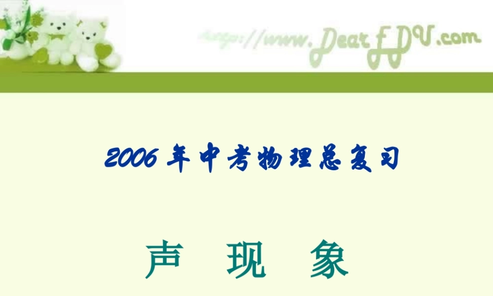 中考物理总复习 声现象 新课标 试题