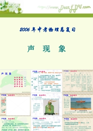 中考物理总复习 声现象 新课标 试题