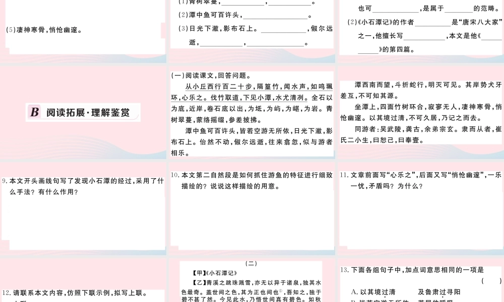 (河南专版)八年级语文下册 第三单元 10 小石潭记习题课件 新人教版 课件
