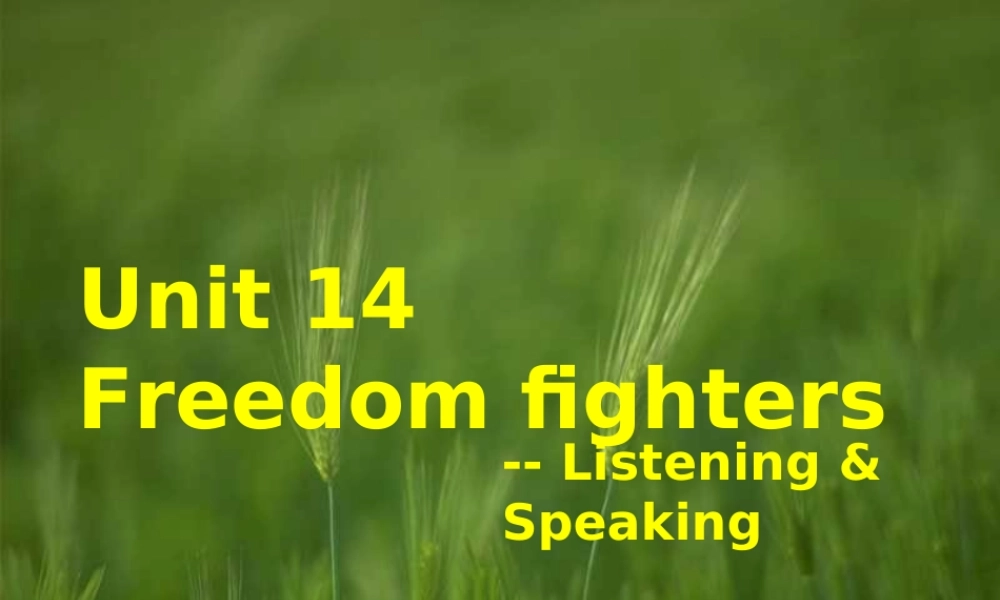 Unit 14 The first period 人教版高二英语Unit14 Freedom fighters全单元课件 人教版高二英语Unit14 Freedom fighters全单元课件