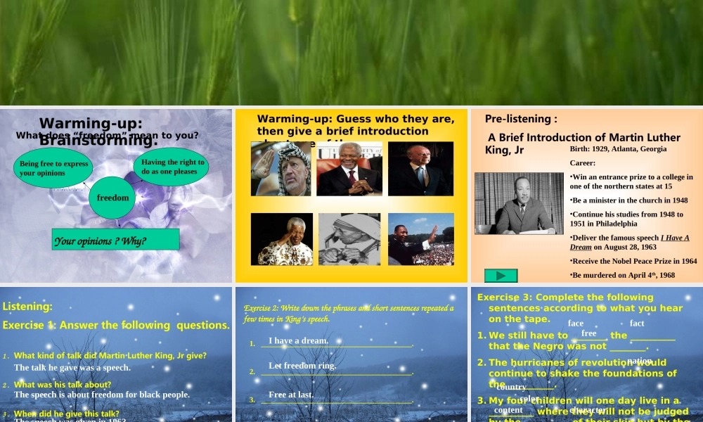 Unit 14 The first period 人教版高二英语Unit14 Freedom fighters全单元课件 人教版高二英语Unit14 Freedom fighters全单元课件