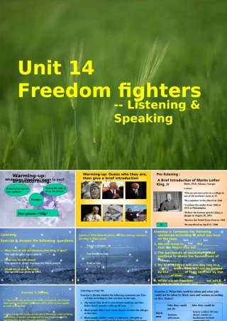 Unit 14 The first period 人教版高二英语Unit14 Freedom fighters全单元课件 人教版高二英语Unit14 Freedom fighters全单元课件