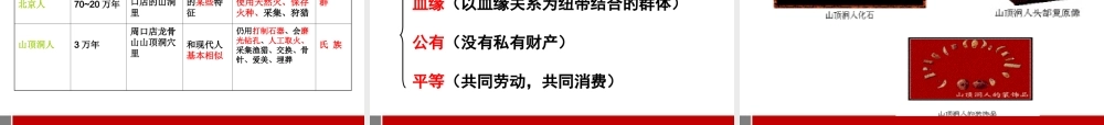 七年级历史上册 第1课祖国境内远古居民课件 人教新课标版 课件