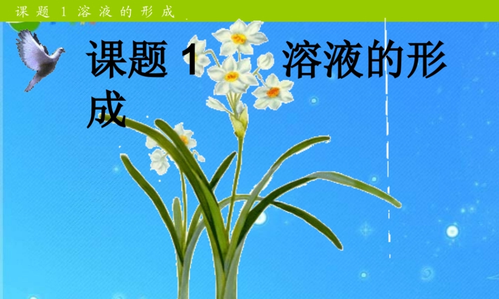 九年级化学下册 第九单元课题1溶液的形成课件 人教新课标版 课件