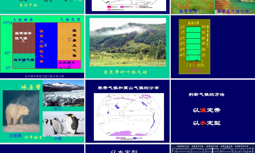 七年级地理第四节 世界的气候类型2课件