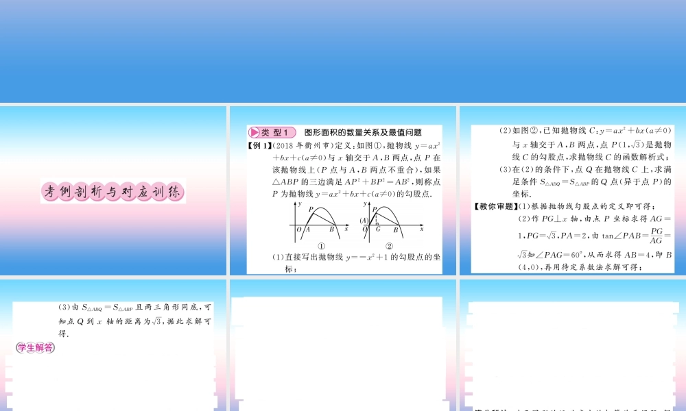 (课标版通用)中考数学总复习 第三轮 大专题突破 挑战满分 大专题(七)习题课件
