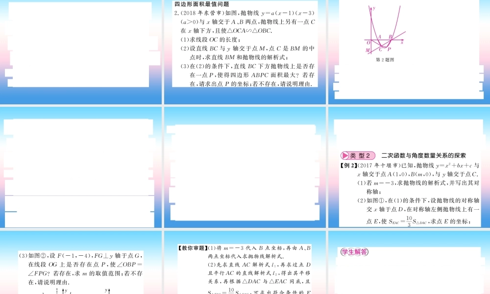 (课标版通用)中考数学总复习 第三轮 大专题突破 挑战满分 大专题(七)习题课件