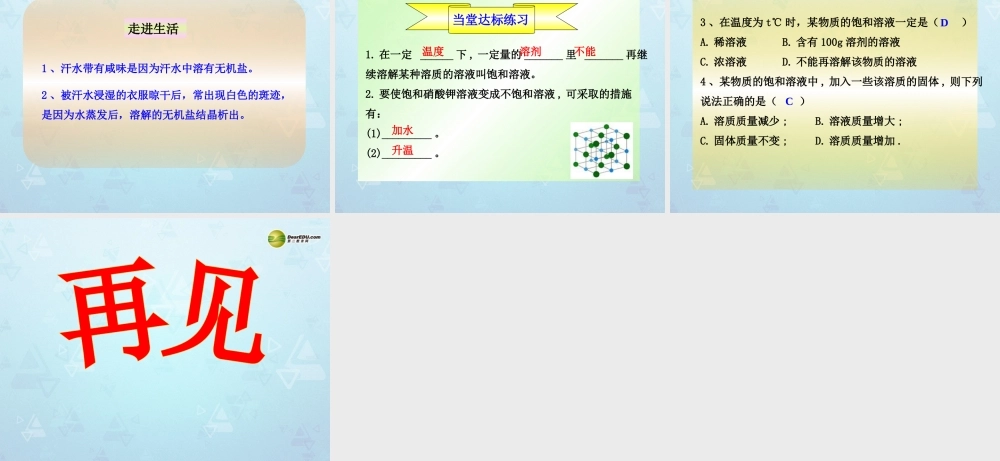 九年级化学下册 第9单元 课题3 第1课时 饱和溶液课件 新人教版 课件