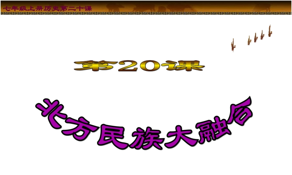 七年级历史北方民族大融合课件