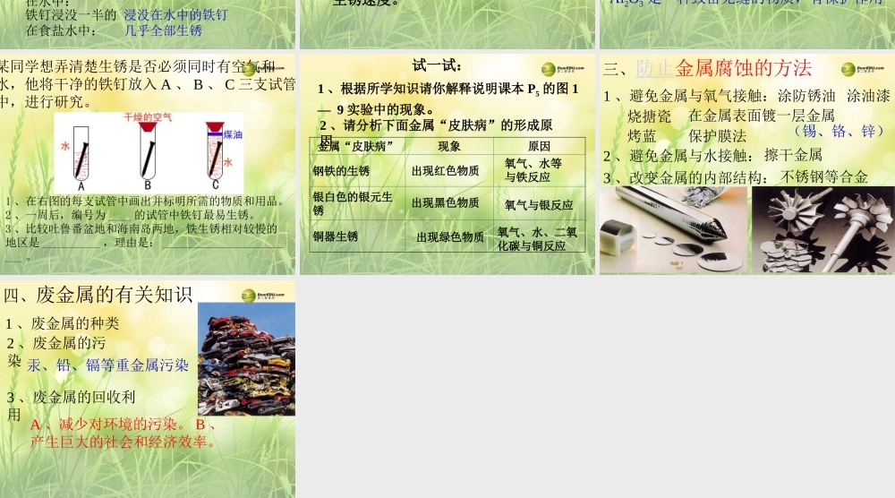 九年级化学全册 5-3 金属的防护和回收课件 沪教版 课件