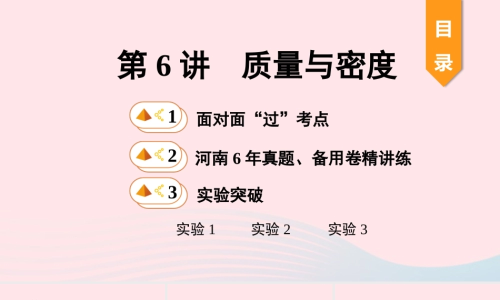 中考物理一轮复习 基础考点一遍过 第6讲 质量与密度课件