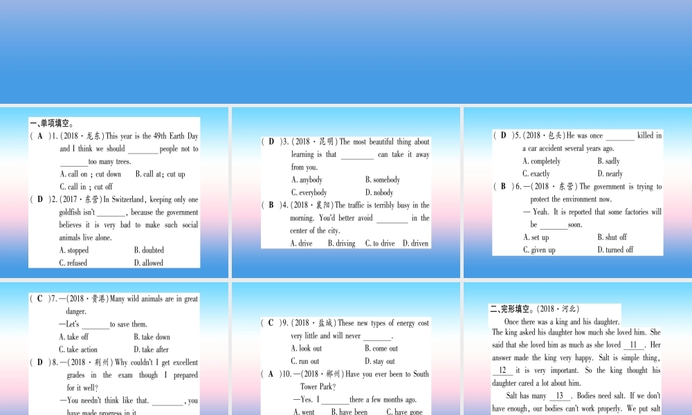 中考英语准点备考 第一部分 教材系统复习 考点精练十四 九上 Unit 2课件