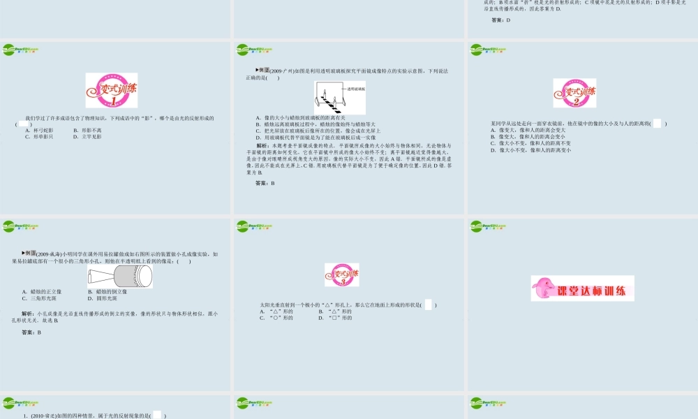 中考物理专题2　光的传播和反射 平面镜成像复习课件