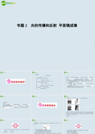 中考物理专题2　光的传播和反射 平面镜成像复习课件