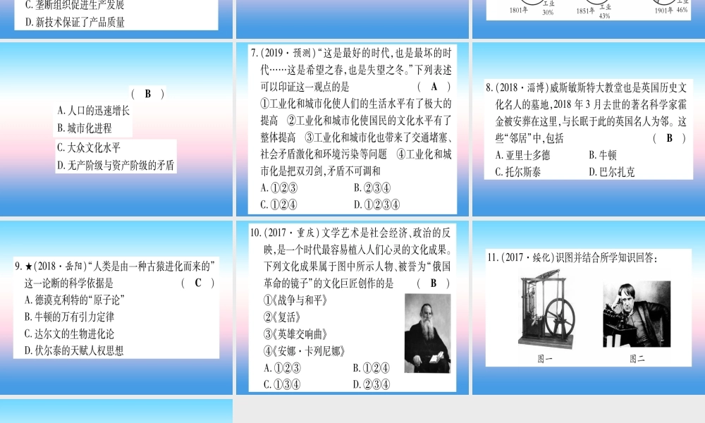 (甘肃专用)中考历史总复习 第一篇 考点系统复习 板块五 世界近代史 主题五 第二次工业革命和近代科学文化(精练)课件