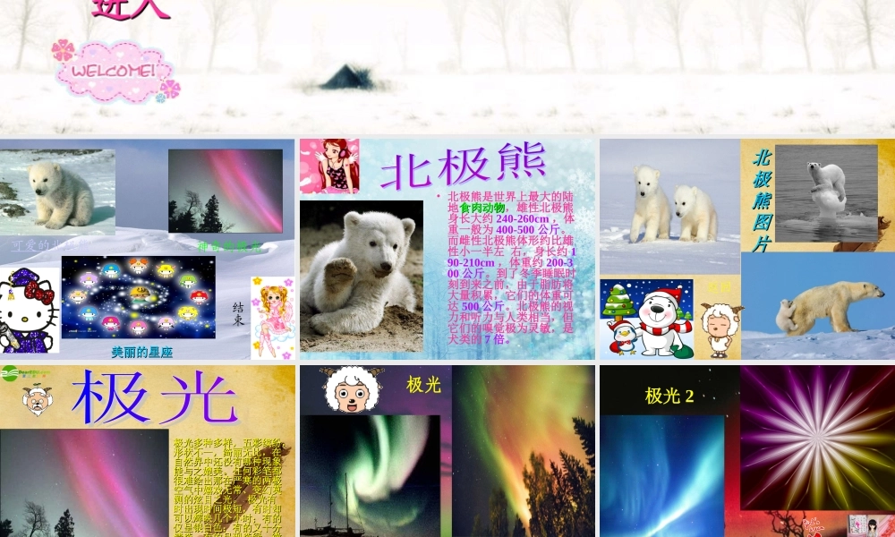 七年级地理下册 极地之旅课件 人教新课标版 课件