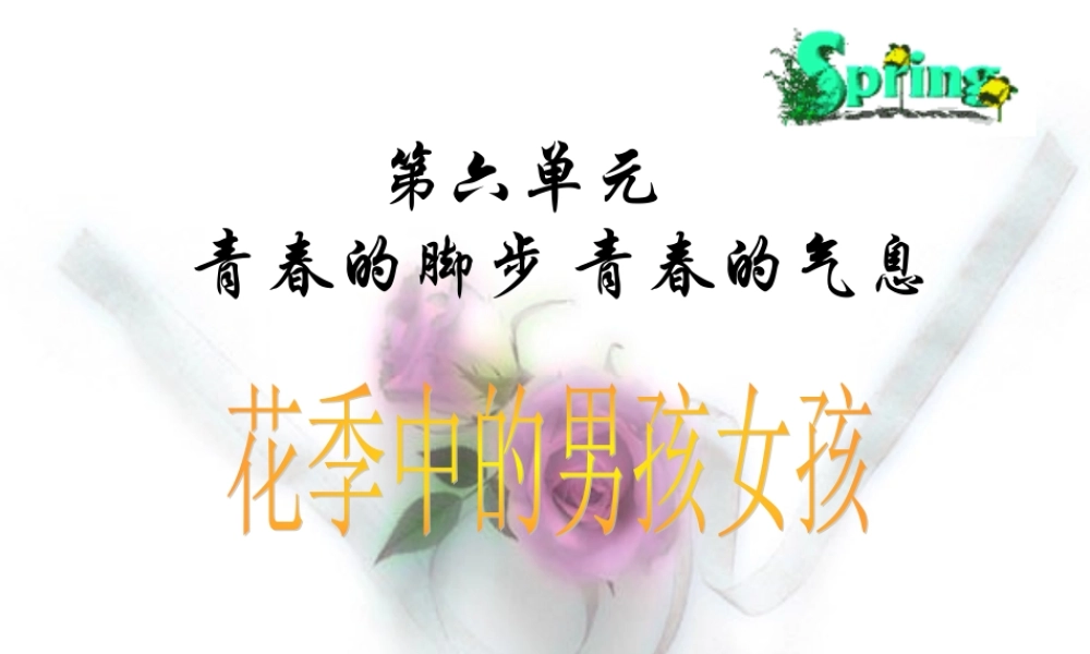 七年级政治下册 把握青春珍爱友谊(自己)课件 鲁教版 课件